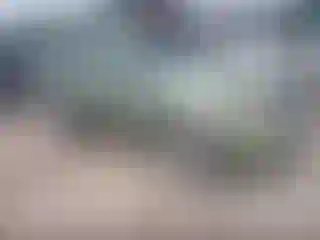Vehicle Image- 2008 Ford Escape