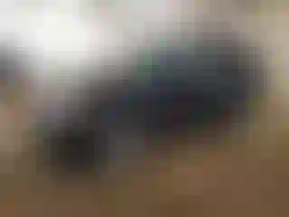 Vehicle Image- 2010 Ford Escape