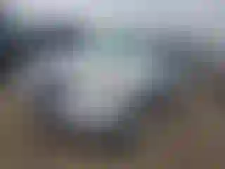 Vehicle Image- 2010 Ford Escape