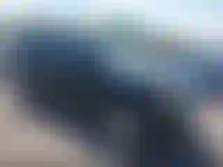 Vehicle Image- 2010 Ford Escape