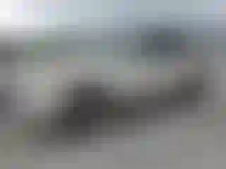 Vehicle Image- 2010 Ford Escape