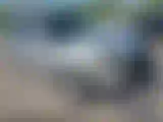 Vehicle Image- 2010 Ford Escape