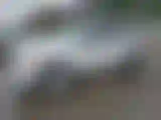 Vehicle Image- 2009 Ford Escape