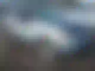 Vehicle Image- 2009 Ford Escape
