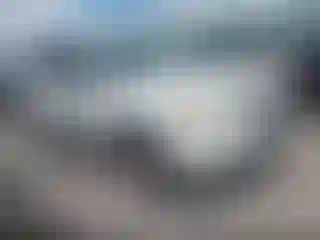 Vehicle Image- 2009 Ford Escape