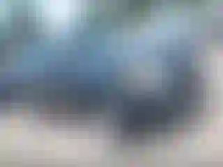 Vehicle Image- 2008 Ford Escape