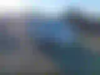 Vehicle Image- 2008 Ford Escape