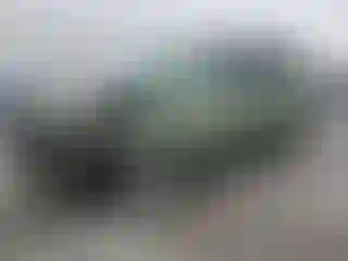 Vehicle Image- 2008 Ford Escape