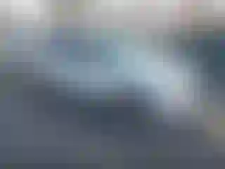 Vehicle Image- 2008 Ford Escape