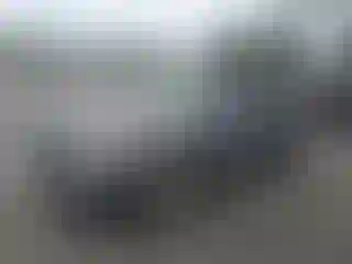 Vehicle Image- 2008 Ford Escape