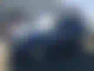 Vehicle Image- 2008 Ford Escape