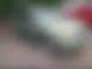 Vehicle Image- 2008 Ford Escape