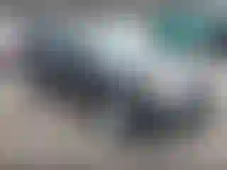 Vehicle Image- 2008 Ford Escape