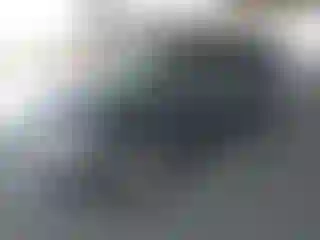 Vehicle Image- 2010 Ford Escape