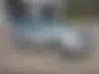 Vehicle Image- 2010 Ford Escape