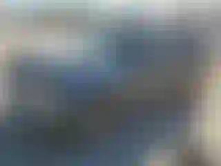Vehicle Image- 2010 Ford Escape