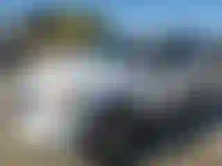 Vehicle Image- 2010 Ford Escape