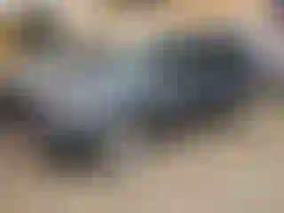 Vehicle Image- 2011 Ford Escape