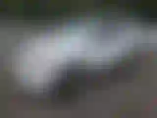 Vehicle Image- 2010 Ford Escape