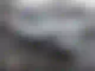 Vehicle Image- 2010 Ford Escape