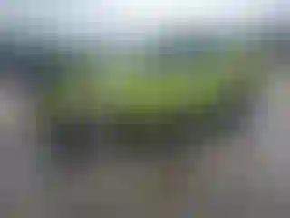 Vehicle Image- 2011 Ford Escape