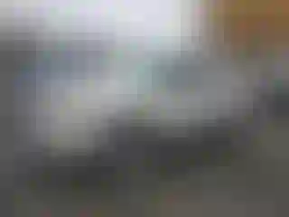 Vehicle Image- 2010 Ford Escape