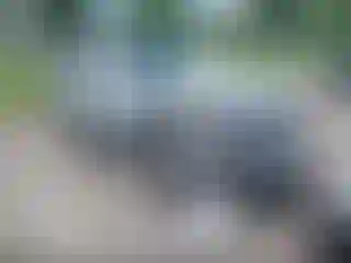 Vehicle Image- 2011 Ford Escape