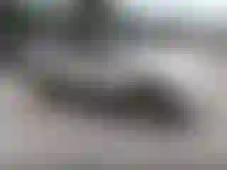 Vehicle Image- 2011 Ford Escape