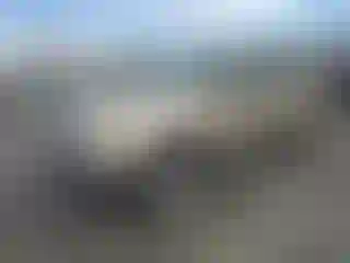 Vehicle Image- 2001 Ford Explorer