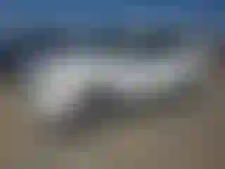Vehicle Image- 2009 Ford Escape