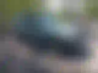 Vehicle Image- 2007 Ford Escape