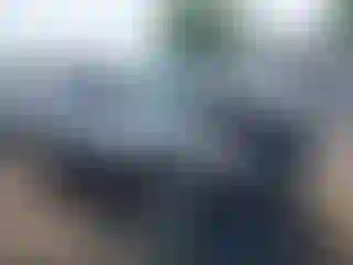 Vehicle Image- 2006 Ford Escape