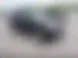 Vehicle Image- 2008 Ford Escape