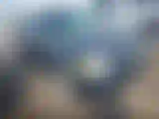 Vehicle Image- 2008 Ford Escape