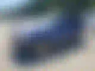 Vehicle Image- 2006 Ford Escape