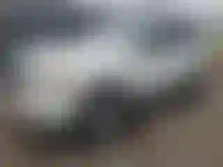 Vehicle Image- 2008 Ford Escape