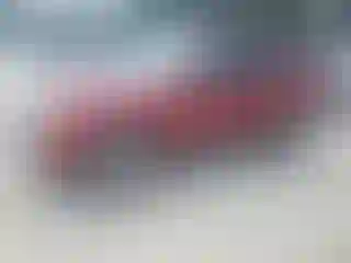 Vehicle Image- 2008 Ford Escape