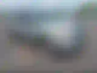 Vehicle Image- 2008 Ford Escape