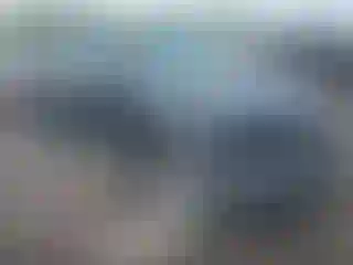 Vehicle Image- 2004 Ford Escape