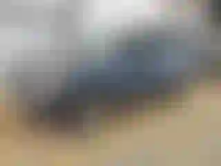 Vehicle Image- 2005 Ford Escape
