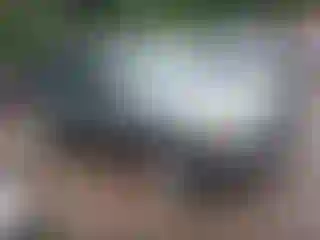 Vehicle Image- 2006 Ford Escape