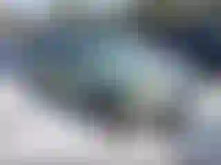 Vehicle Image- 2008 Ford Escape