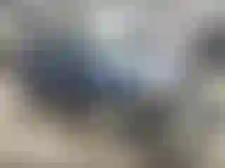 Vehicle Image- 2008 Ford Escape