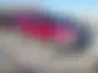 Vehicle Image- 2006 Ford Escape