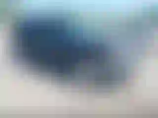 Vehicle Image- 2007 Ford Escape