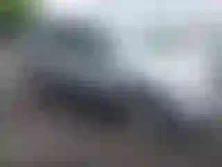 Vehicle Image- 2008 Ford Escape
