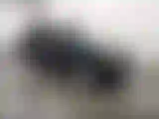 Vehicle Image- 2008 Ford Escape