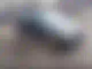 Vehicle Image- 2008 Ford Escape