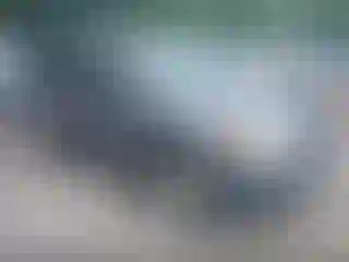 Vehicle Image- 2003 Ford Escape