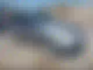 Vehicle Image- 2007 Ford Escape